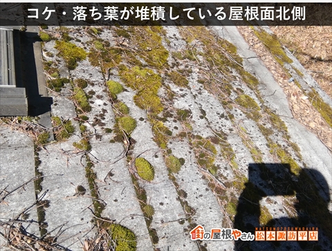 茅野市白樺高原別荘屋根カバー工法　コケや落ち葉が堆積している屋根面北側